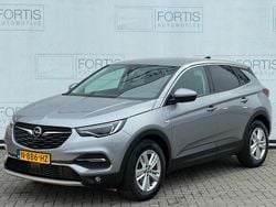 Grijs Gebruikt 2021 Opel Grandland X Business Elegance SUV | € 20.900 (Goede deal)