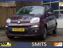Paars Gebruikt 2014 Fiat Panda Lounge Hatchback | € 5.500 (Eerlijke prijs)