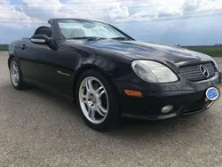 Zwart Gebruikt 2001 Mercedes SLK32 AMG AMG Cabriolet | € 14.950