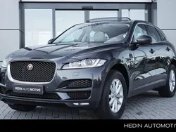 Grijs Gebruikt 2019 Jaguar F-Pace Portfolio SUV | € 34.895 (Iets duurder)
