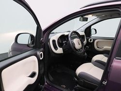 Paars Gebruikt 2012 Fiat Panda Lounge Hatchback | € 3.950 (Goede deal)