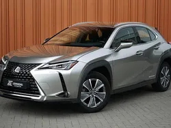 Grijs Gebruikt 2020 Lexus UX 300e Business Edition SUV | € 21.900