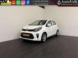 Wit Gebruikt 2019 Kia Picanto Hatchback | € 7.949 (Goede deal)