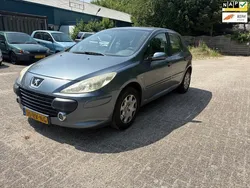 Grijs Gebruikt 2005 Peugeot 307 Hatchback | € 799 (Goede deal)