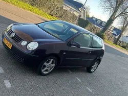 Rood Gebruikt 2003 VW Polo Sedan | € 1.700 (Eerlijke prijs)
