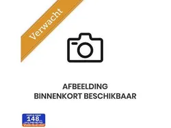 Grijs Gebruikt 2016 Fiat 500L Trekking MPV | € 8.999 (Eerlijke prijs)