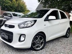 Wit Gebruikt 2018 Kia Picanto Comfort Hatchback | € 8.450 (Eerlijke prijs)