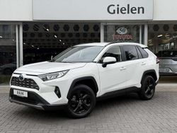 Wit Gebruikt 2025 Toyota RAV4 Hybrid Plus SUV | € 43.900 (Super prijs)