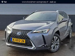 Grijs Gebruikt 2020 Lexus UX 300e Business Edition SUV | € 23.900