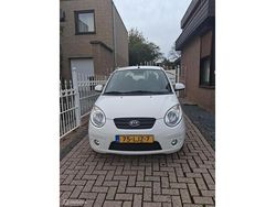 Wit Gebruikt 2010 Kia Picanto Hatchback | € 2.150 (Eerlijke prijs)
