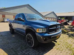 Blauw Gebruikt 2005 Dodge Ram Pickup | € 7.250 (Goede deal)