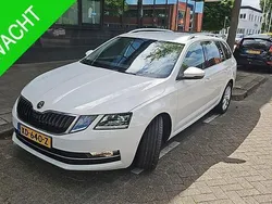 Wit Gebruikt 2019 Skoda Octavia Business Line Stationwagen | € 14.995