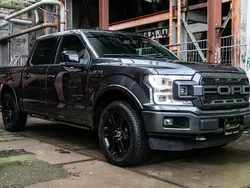 Grijs Gebruikt 2018 Ford F-150 Platinum Pickup | € 41.950