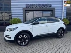 Wit, metallic lak Gebruikt 2021 Opel Grandland X Elegance SUV | € 25.900 (Eerlijke prijs)