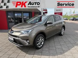 Bruin Gebruikt 2017 Toyota RAV4 Hybrid SUV | € 25.945 (Goede deal)