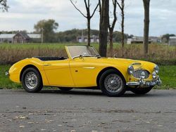 Gebruikt 1957 Austin Healey 100/6 Cabriolet | € 32.500