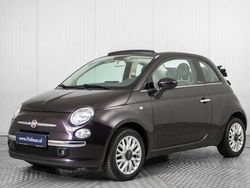 Paars Gebruikt 2014 Fiat 500C Pop Star Cabriolet | € 8.900 (Duur)