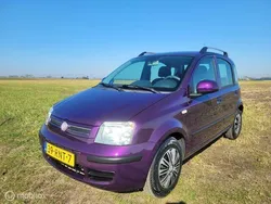 Paars Gebruikt 2011 Fiat Panda Hatchback | € 3.499 (Eerlijke prijs)