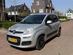Grijs Gebruikt 2014 Fiat Panda Hatchback | € 5.700 (Eerlijke prijs)