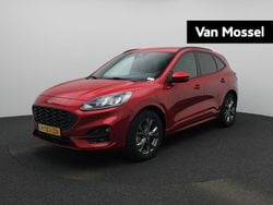 Rood Gebruikt 2020 Ford Kuga ST-Line SUV | € 23.445 (Duur)
