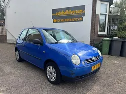 Blauw Gebruikt 1998 VW Lupo Trendline Hatchback | € 999 (Goede deal)