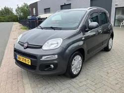 Grijs Gebruikt 2017 Fiat Panda Lounge Hatchback | € 8.950 (Eerlijke prijs)