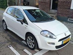 Wit Gebruikt 2014 Fiat Punto Young MPV | € 3.000 (Eerlijke prijs)