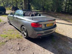 Grijs Gebruikt 2017 BMW 218 Executive Cabriolet | € 19.995 (Eerlijke prijs)