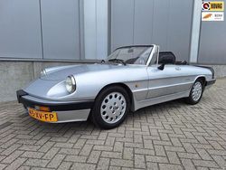 Grijs Gebruikt 1987 Alfa Romeo Spider Quadrifoglio Verde Cabriolet | € 17.950