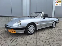 Grijs Gebruikt 1987 Alfa Romeo Spider Quadrifoglio Verde Cabriolet | € 17.950