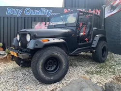 Overige Gebruikt 1994 Jeep Wrangler SUV | € 16.999