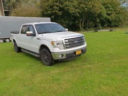 Wit Gebruikt 2013 Ford F-150 Lariat Pickup | € 22.000
