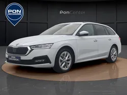 Wit Gebruikt 2023 Skoda Octavia Business Line Stationwagen | € 26.950 (Eerlijke prijs)