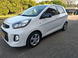 Wit Gebruikt 2016 Kia Picanto Hatchback | € 5.300 (Goede deal)
