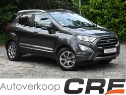 Grijs Gebruikt 2019 Ford Ecosport Titanium SUV | € 15.000 (Goede deal)