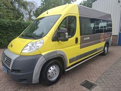 Wit Gebruikt 2013 Fiat Ducato Van | € 2.950