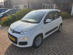 Wit Gebruikt 2016 Fiat Panda Hatchback | € 6.950 (Eerlijke prijs)