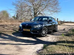 Grijs Gebruikt 2015 BMW 218 Coupé | € 14.250 (Eerlijke prijs)