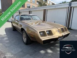 Bruin Gebruikt 1980 Pontiac Firebird Coupé | € 18.750