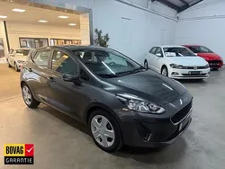 Grijs Gebruikt 2019 Ford Fiesta Trend Hatchback | € 11.400 (Eerlijke prijs)