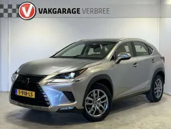 Grijs Gebruikt 2021 Lexus NX300h SUV | € 36.940 (Super prijs)