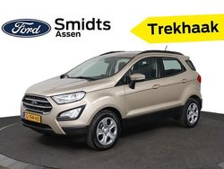Bruin Gebruikt 2019 Ford Ecosport Trend SUV | € 14.900 (Eerlijke prijs)