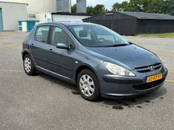 Grijs Gebruikt 2005 Peugeot 307 Hatchback | € 1.400 (Goede deal)