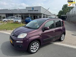 Paars Gebruikt 2012 Fiat Panda Lounge Hatchback | € 3.499 (Eerlijke prijs)