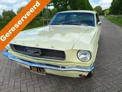 Geel Gebruikt 1966 Ford Mustang | € 18.950