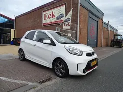 Wit Gebruikt 2015 Kia Picanto Hatchback | € 6.950 (Iets duurder)