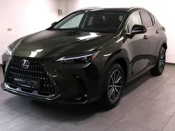 Groen, metallic lak Nieuw 2025 Lexus NX450h+ Luxury Line SUV | € 58.945 (Super prijs)