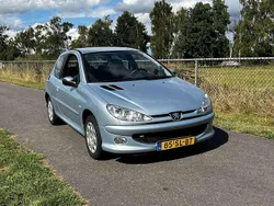 Grijs Gebruikt 2006 Peugeot 206 Hatchback | € 999 (Goede deal)