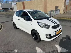 Wit Gebruikt 2011 Kia Picanto Hatchback | € 4.000 (Eerlijke prijs)