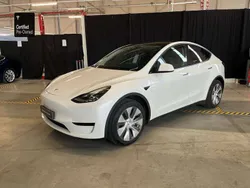 Wit Gebruikt 2024 Tesla Model Y SUV | € 40.900